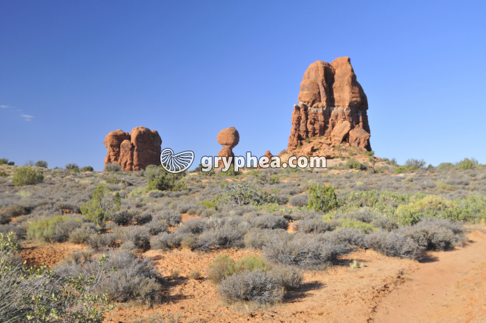 Milieu semi-désertique Utah - gryphea.com